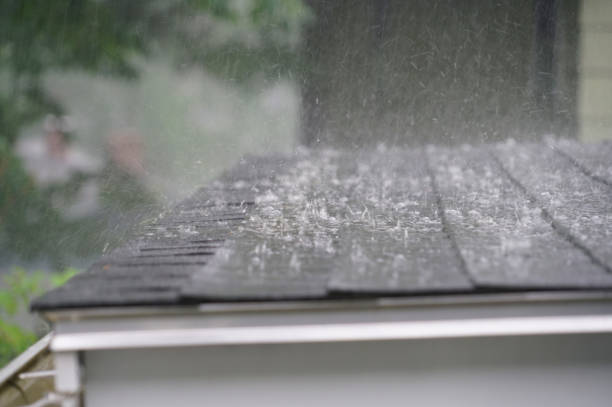 Emergency Roof Repair in Pioneer, OH