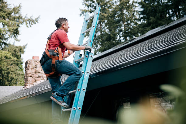 Best Roof Replacement  in Pioneer, OH
